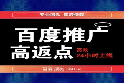 SEM搜索引擎优化：成功案例解析
